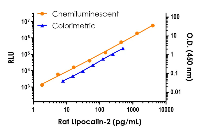 Sandwich ELISA - Rat Lipocalin-2 ELISA Kit, Chemiluminescent (AB326403)