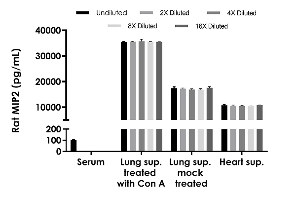 Sandwich ELISA - Rat MIP2 ELISA Kit (CXCL2) (AB282308)