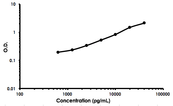 Sandwich ELISA - Rat MMP-2 ELISA Kit (AB213910)
