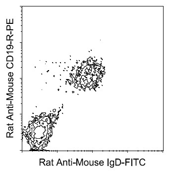 Flow Cytometry - Rat monoclonal [11-26] Anti-Mouse IgD delta chain (FITC) (AB99566), expandable thumbnail