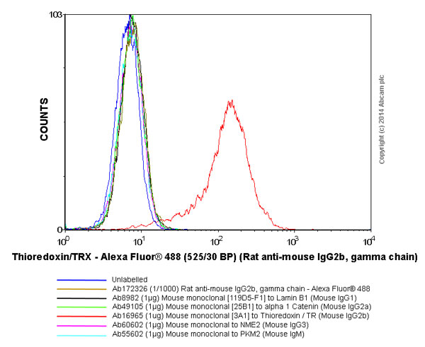 Rat monoclonal [SB74g] Anti-Mouse IgG2b gamma chain (Alexa Fluor 488)