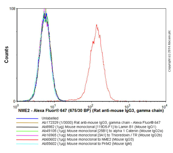 Flow Cytometry - Rat monoclonal [SB76b] Anti-Mouse IgG3 gamma chain (Alexa Fluor® 647) (AB172329)