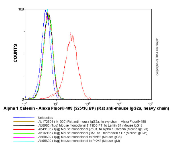 Flow Cytometry - Rat monoclonal [SB84a] Anti-Mouse IgG2a heavy chain (Alexa Fluor® 488) (AB172324), expandable thumbnail