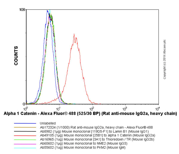 Flow Cytometry - Rat monoclonal [SB84a] Anti-Mouse IgG2a heavy chain (Alexa Fluor® 488) (AB172324)