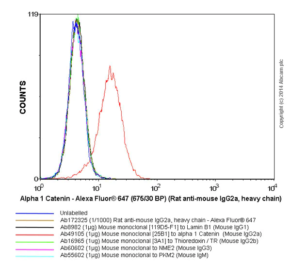 Flow Cytometry - Rat monoclonal [SB84a] Anti-Mouse IgG2a heavy chain (Alexa Fluor® 647) (AB172325)