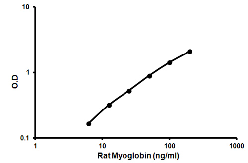 Sandwich ELISA - Rat Myoglobin ELISA Kit (AB157739), expandable thumbnail