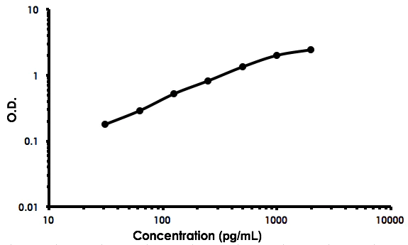 Sandwich ELISA - Rat PDGF-AB ELISA Kit (AB213906)