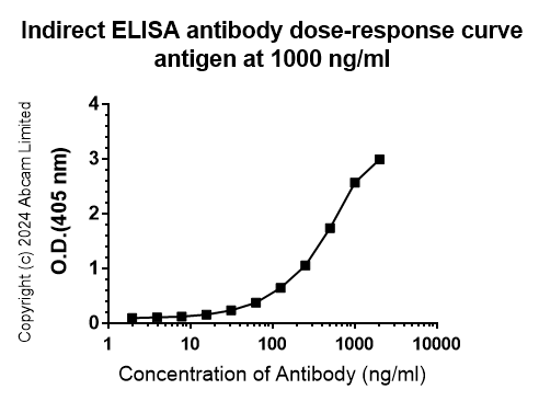 Indirect ELISA - Anti-Rat Poly PR antibody [PERA534G] (AB323367), expandable thumbnail