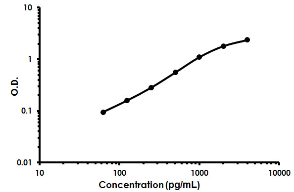 Sandwich ELISA - Rat RANK ELISA Kit (AB213918), expandable thumbnail
