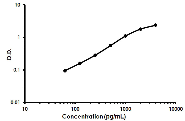 Sandwich ELISA - Rat RANK ELISA Kit (AB213918)