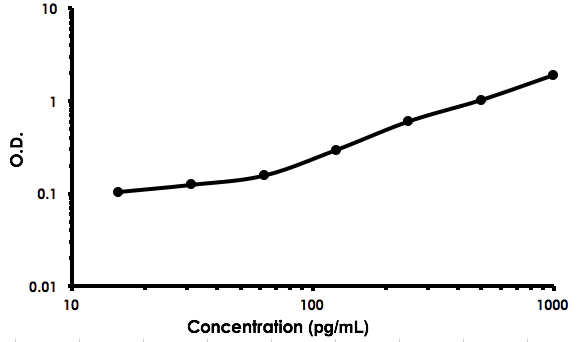 Sandwich ELISA - Rat Rantes ELISA Kit (AB213907)