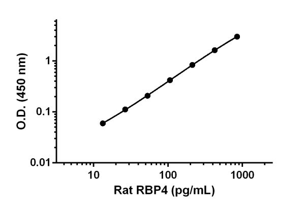 Sandwich ELISA - Rat Retinol Binding Protein 4 ELISA Kit (AB203362), expandable thumbnail