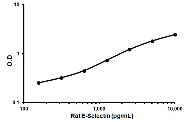 Sandwich ELISA - Rat sE-Selectin ELISA Kit (sCD62E) (AB171334)