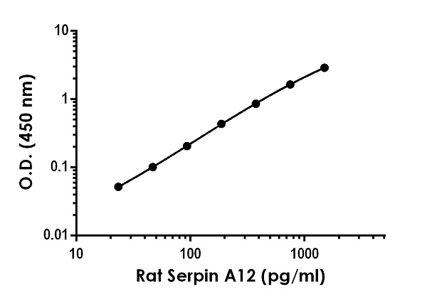 Sandwich ELISA - Rat Serpin A12 ELISA Kit (AB272197), expandable thumbnail