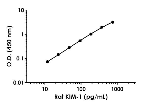 Sandwich ELISA - Rat TIM 1 ELISA Kit (KIM-1) (AB223858), expandable thumbnail