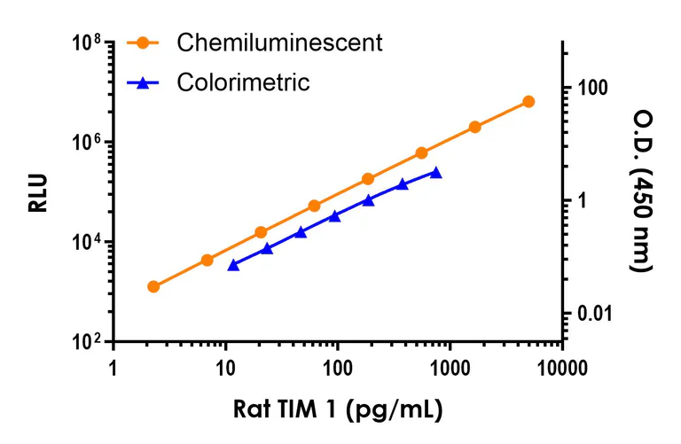 Sandwich ELISA - Rat TIM 1 (KIM-1) ELISA Kit, Chemiluminescent (AB326300)