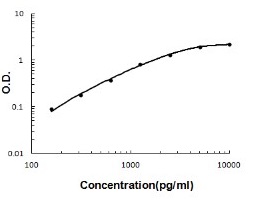 Rat TIMP-2 ELISA Kit