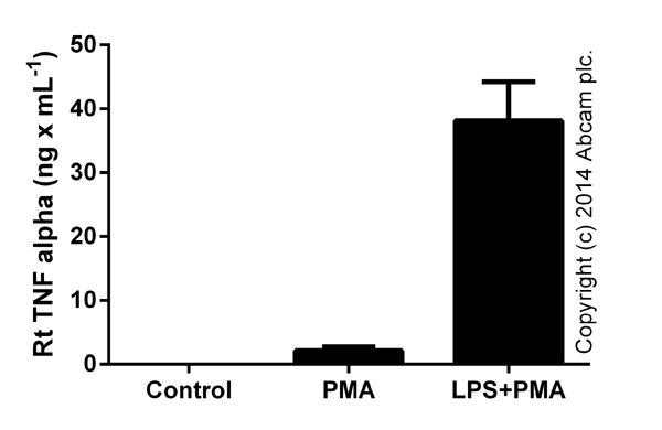 ELISA - Rat TNF alpha ELISA Kit (AB100784)