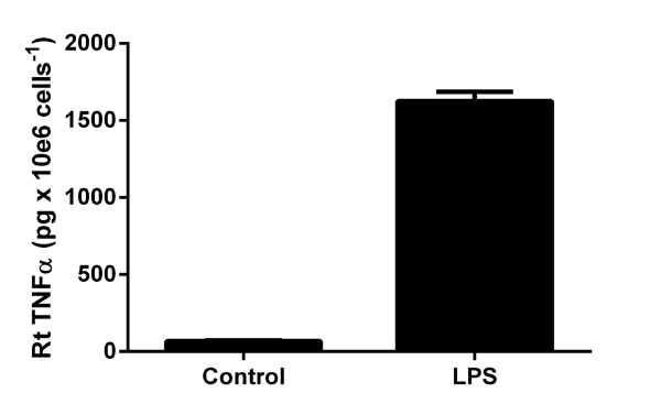 Sandwich ELISA - Rat TNF alpha ELISA Kit (AB100785)
