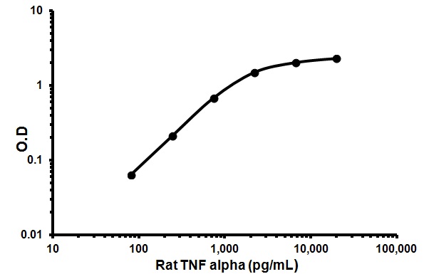 Sandwich ELISA - Rat TNF alpha ELISA Kit (AB100785)