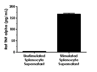 Sandwich ELISA - Rat TNF alpha ELISA Kit (AB236712)