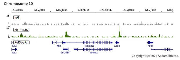 ChIC/CUT&RUN sequencing - Anti-Rb antibody [EPR17512] (AB181616)