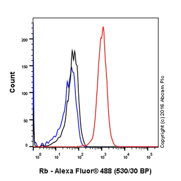 Flow Cytometry (Intracellular) - Anti-Rb antibody [EPR17512] (AB181616)