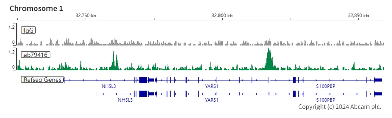 ChIC/CUT&RUN sequencing - Anti-RBBP4 antibody [EPR3411] - ChIP Grade (AB79416)