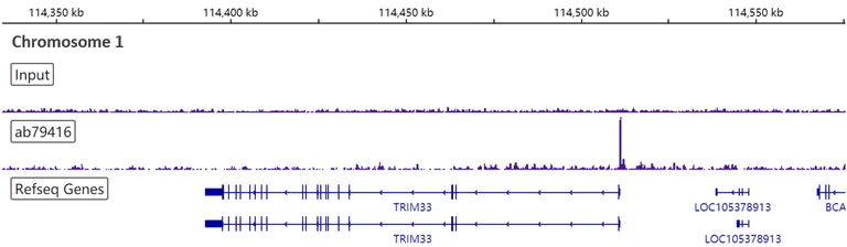 ChIP-sequencing - Anti-RBBP4 antibody [EPR3411] - ChIP Grade (AB79416)