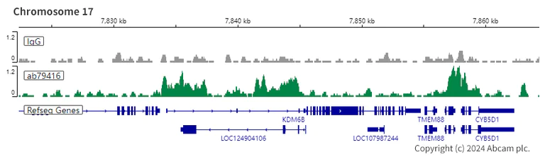 ChIC/CUT&RUN sequencing - Anti-RBBP4 antibody [EPR3411] - ChIP Grade - BSA and Azide free (AB236047)