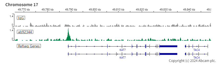ChIC/CUT&RUN sequencing - Anti-RBBP4 antibody [EPR3412] - ChIP Grade - BSA and Azide free (ab247547), expandable thumbnail