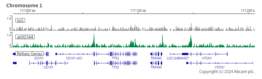 ChIC/CUT&RUN sequencing - Anti-RBBP4 antibody [EPR3412] - ChIP Grade - BSA and Azide free (AB247547), expandable thumbnail