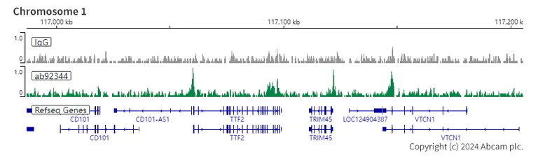 ChIC/CUT&RUN sequencing - Anti-RBBP4 antibody [EPR3412] - ChIP Grade - BSA and Azide free (AB247547)