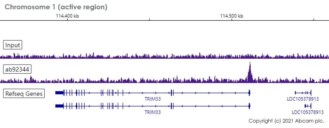 ChIP-sequencing - Anti-RBBP4 antibody [EPR3412] - ChIP Grade - BSA and Azide free (AB247547), expandable thumbnail