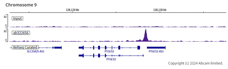 ChIP-sequencing - Anti-RbBP5 antibody [EPR27128-112] (AB322656)