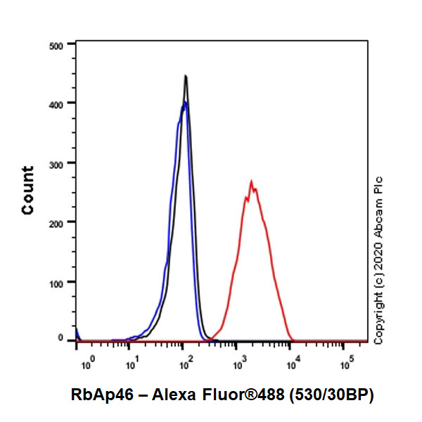 Flow Cytometry (Intracellular) - Anti-RBBP7 antibody [EPR23796-74] - ChIP Grade (AB259957)