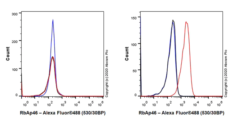 Flow Cytometry (Intracellular) - Anti-RBBP7 antibody [EPR23796-74] - ChIP Grade - BSA and Azide free (AB273882)