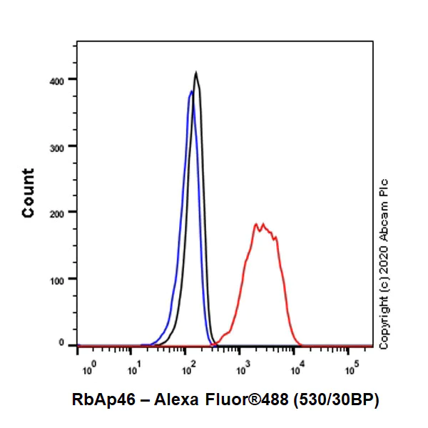 Flow Cytometry (Intracellular) - Anti-RBBP7 antibody [EPR23796-74] - ChIP Grade - BSA and Azide free (AB273882)