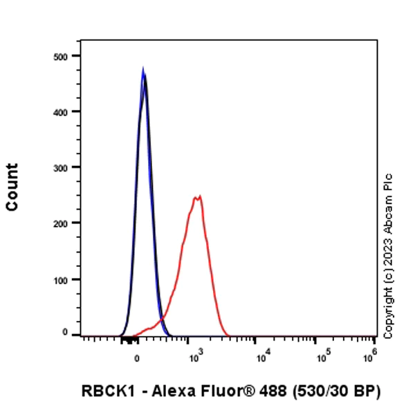 Flow Cytometry (Intracellular) - Anti-RBCK1 antibody [EPR28157-53] - BSA and Azide free (AB309105)