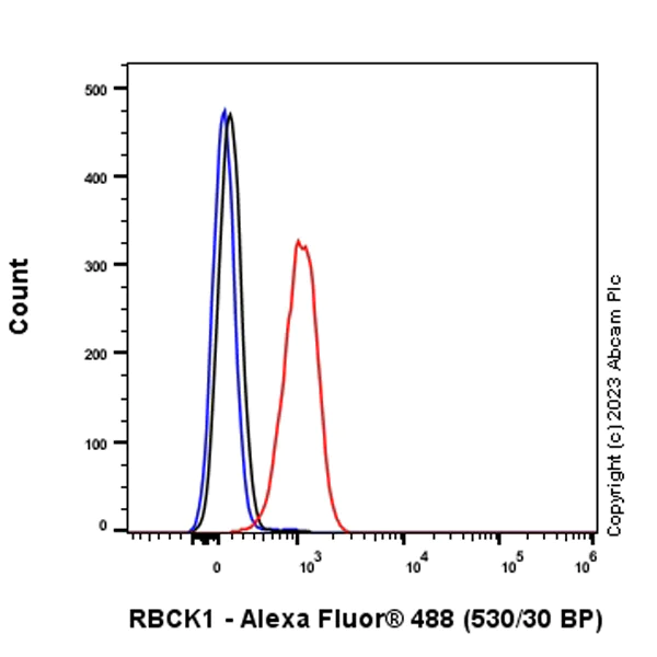 Flow Cytometry (Intracellular) - Anti-RBCK1 antibody [EPR28157-53] - BSA and Azide free (AB309105)