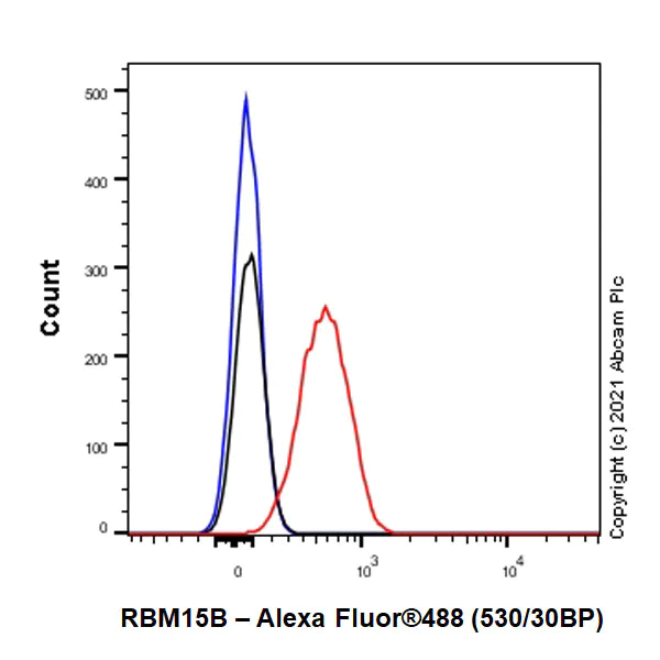 Flow Cytometry (Intracellular) - Anti-RBM15B antibody [EPR25177-134] (BSA and Azide free) (AB300468)