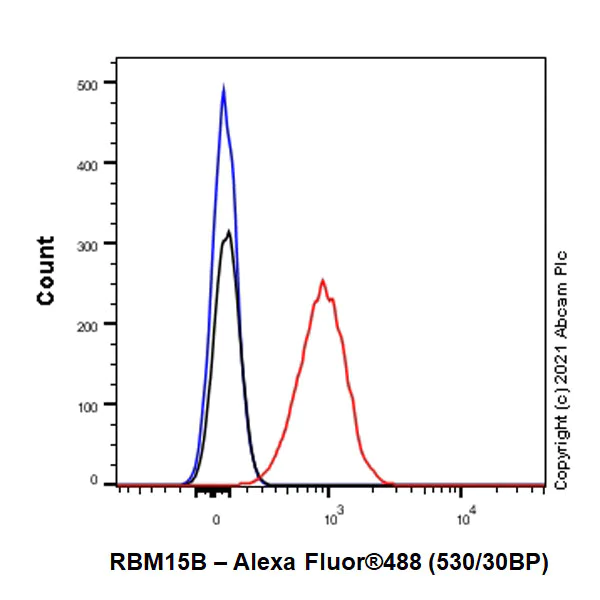 Flow Cytometry (Intracellular) - Anti-RBM15B antibody [EPR25177-158] (BSA and Azide free) (AB300466)