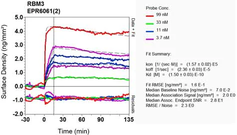 OI-RD Scanning - Anti-RBM3 antibody [EPR6061(2)] (AB134946)