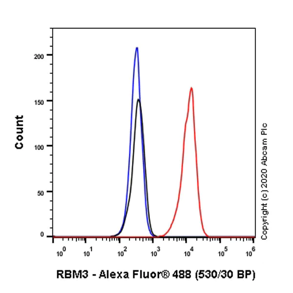 Flow Cytometry (Intracellular) - Anti-RBM3 antibody [EPR6061(2)] - BSA and Azide free (AB240089)