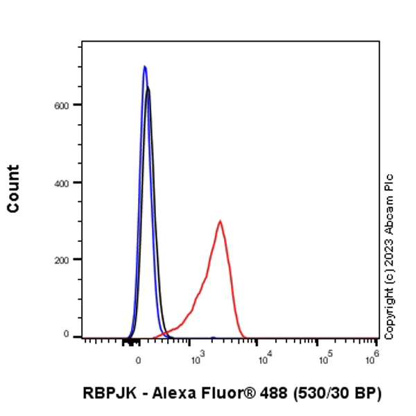 Flow Cytometry (Intracellular) - Anti-RBPJK antibody [RM2045] - BSA and Azide free (AB317049)