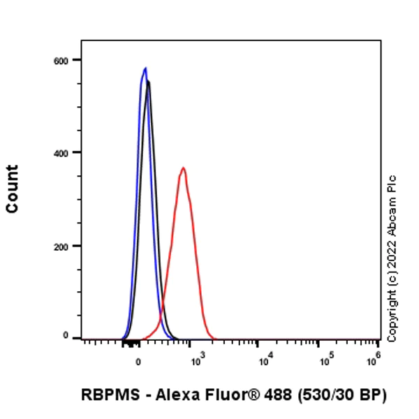 Flow Cytometry (Intracellular) - Anti-RBPMS antibody [EPR27130-21] (AB309094)