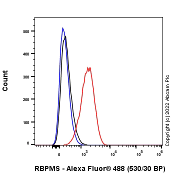 Flow Cytometry (Intracellular) - Anti-RBPMS antibody [EPR27130-21] - BSA and Azide free (AB309095)