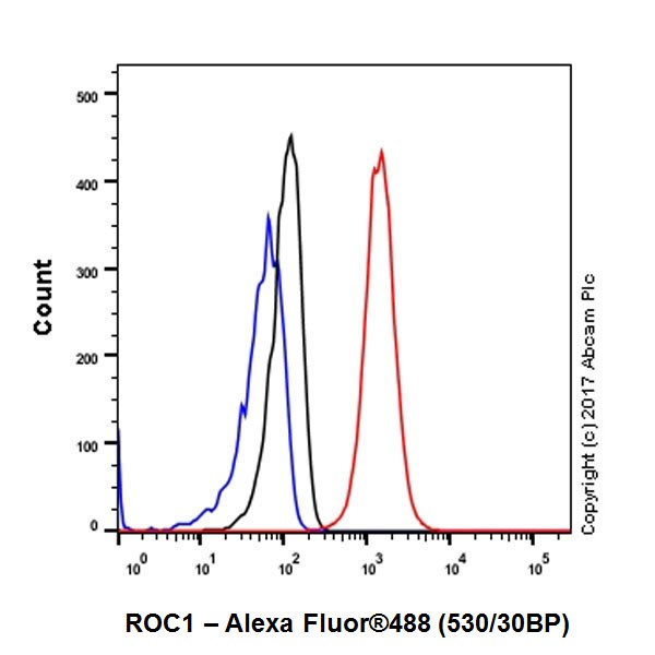 Flow Cytometry (Intracellular) - Anti-RBX1 antibody [EPR20185] (AB221548)