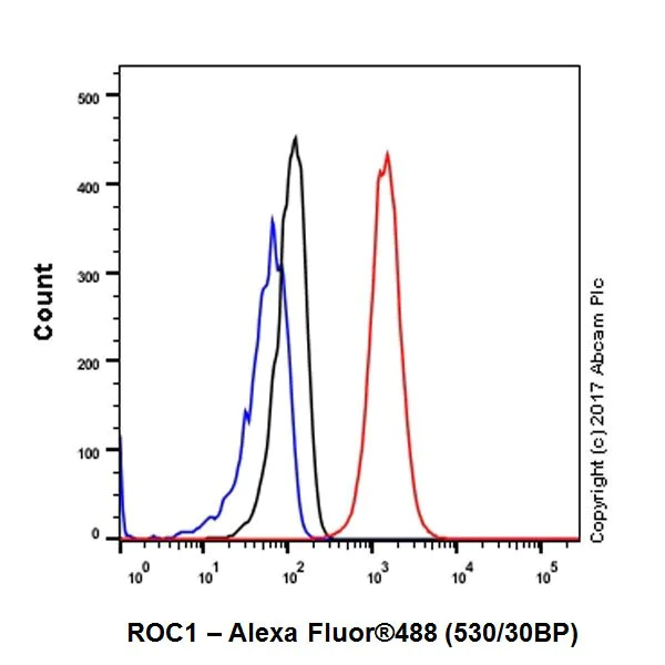 Flow Cytometry (Intracellular) - Anti-RBX1 antibody [EPR20185] - BSA and Azide free (AB251569)