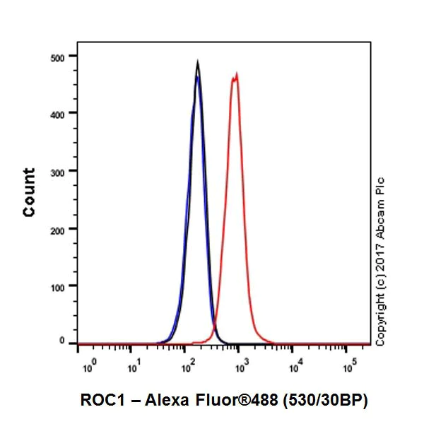 Flow Cytometry (Intracellular) - Anti-RBX1 antibody [EPR20185] - BSA and Azide free (AB251569)